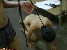 Asian twink in BDSM bondage and doggy style training