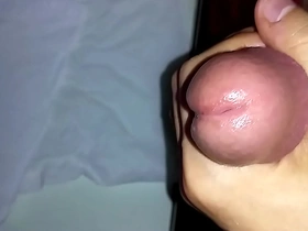 Asian amateur gives a handjob to a big dick